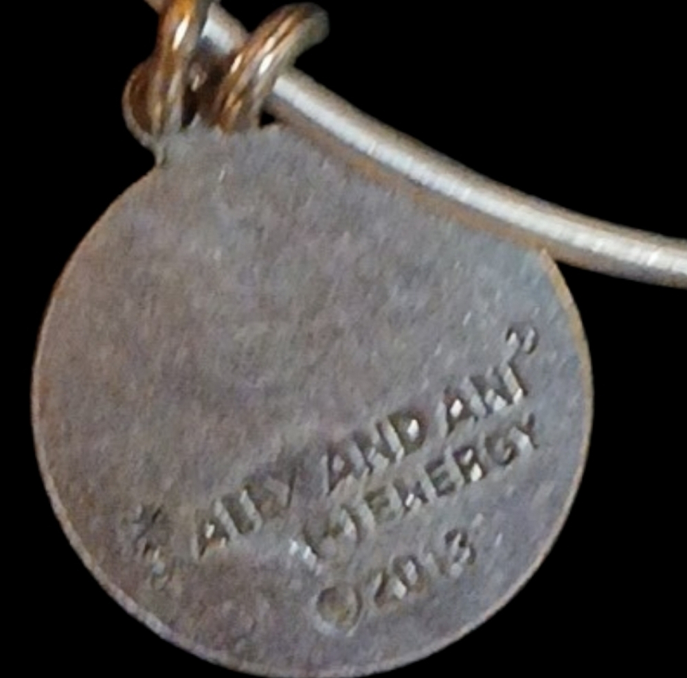 Alex and Ani - Silver Tone Wire Energy Infused Friend Charm Bracelet, Date 2013 - Picture 6 of 10